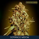 Somango Widow (Advanced Seeds) femminizzati