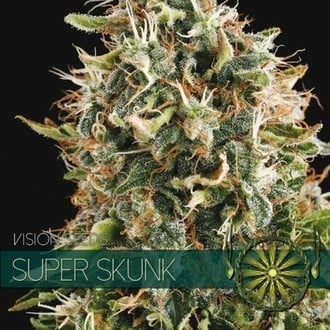 Super Skunk (Vision Seeds) femminizzato