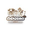 Kit Di Coltivazione Fresh Mushrooms 'Mexican'