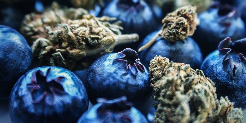 Blueberry: Sapori & Effetti