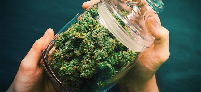 Macinare Cannabis: Shakeratela