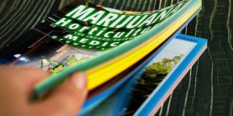 Marijuana: Orticoltura Della Cannabis