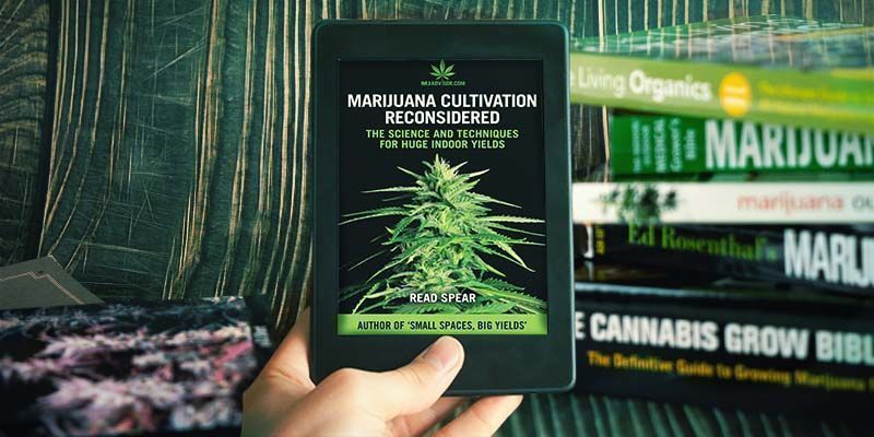 Marijuana Cultivation Reconsidered