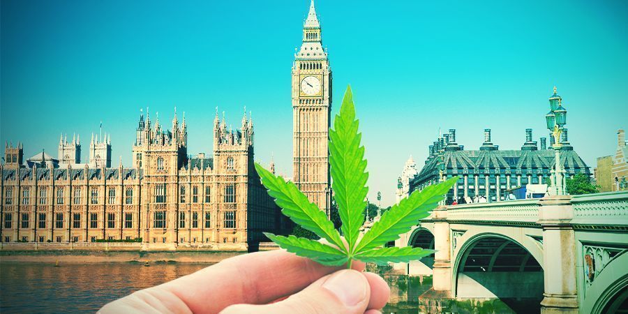 Coltivare Cannabis In Un Clima Britannico