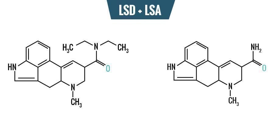 LSA – The Natural Psychedelic