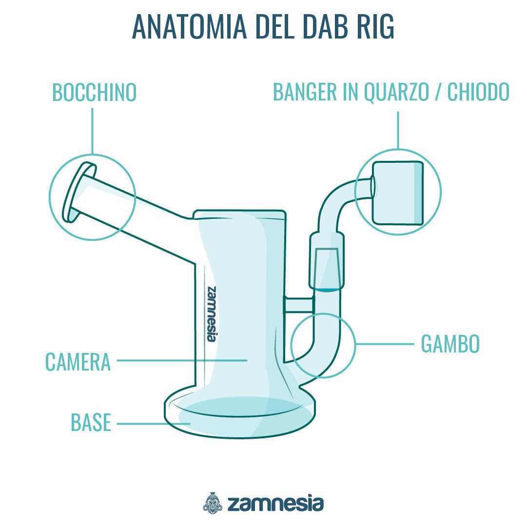 anatomia del dab rig