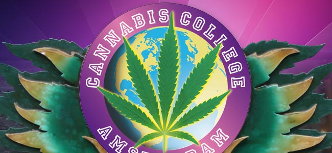 Premi Alla Cultura Cannabica & Cannabis College
