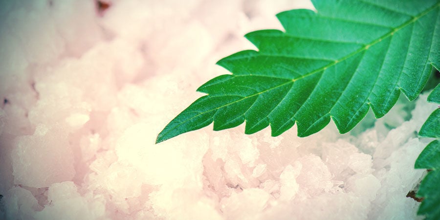 Estratto Di Cannabis: Cristalli Di Cbd