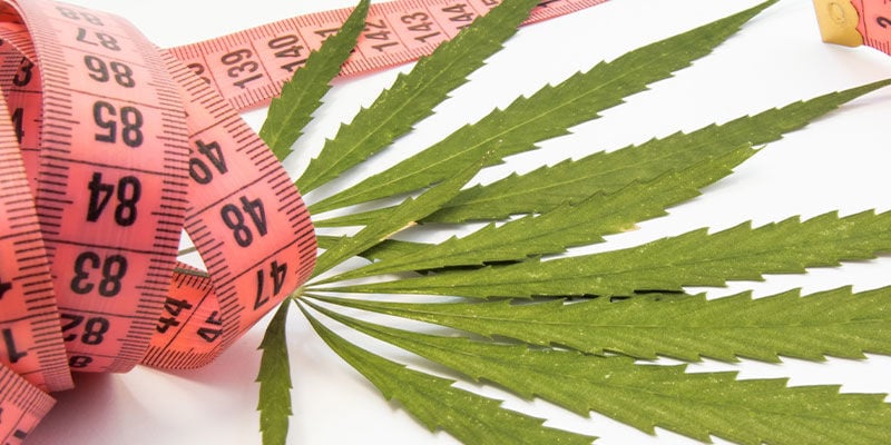 Comprendere il legame tra cannabis e perdita di peso