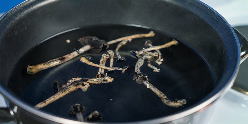 È quindi consigliabile cucinare i funghi allucinogeni?