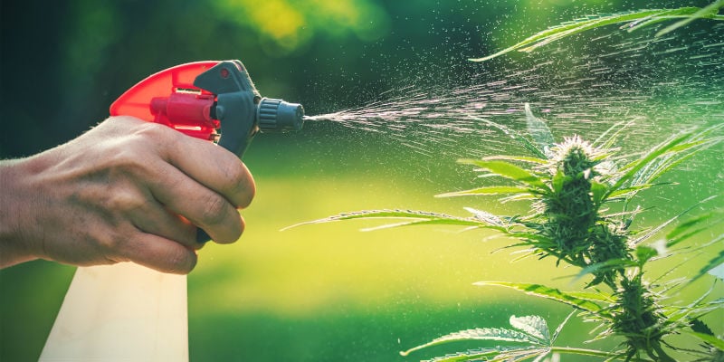 Spray Fogliari - Repellenti Per Parassiti Cannabis