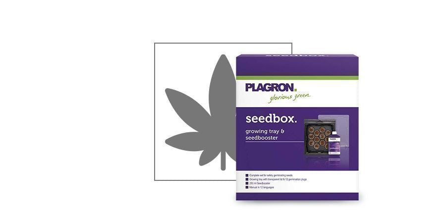 Kit di Germinazione Seedbox della Plagron