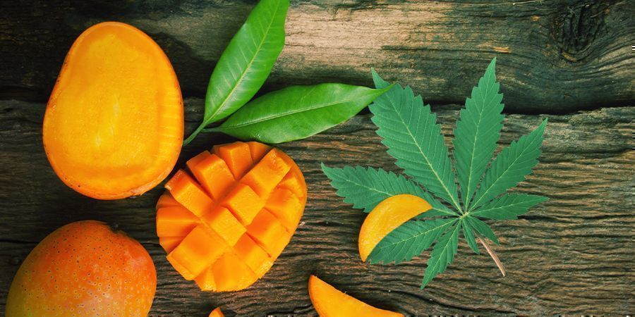 Prendi La Cannabis Insieme Ad Un Mango