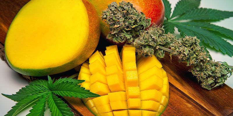 Prendi La Cannabis Insieme Ad Un Mango