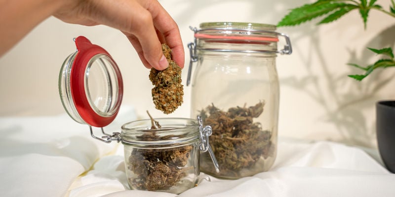Far Respirare La Cannabis: Una Parte Cruciale Del Processo Di Concia
