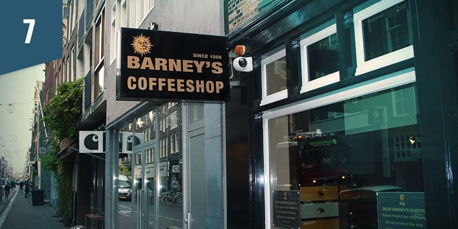Barney's Coffeeshop Amsterdam - Migliori Fiori Indica
