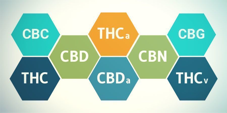 Composti Che Si Trovano Nella Cannabis