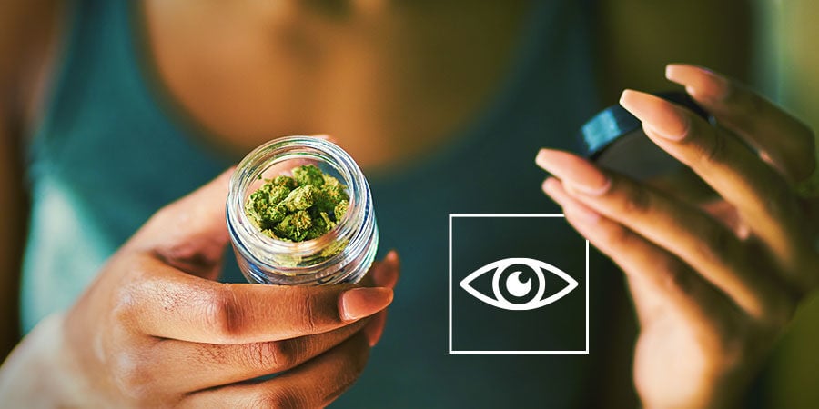Individuare le Sostanze Contaminanti sulla Cannabis: Ispezionare Visivamente la Cannabis