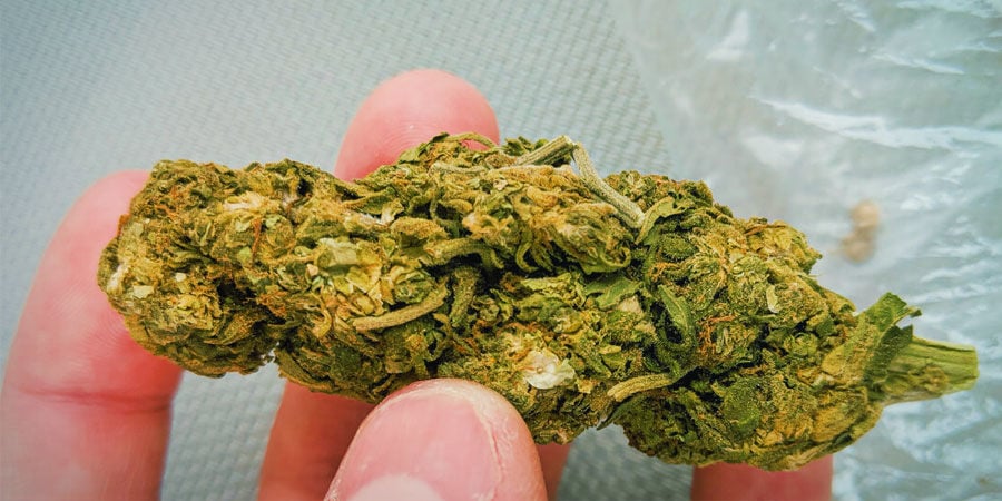 Tipi di Agenti Contaminanti Presenti nella Cannabis: Sabbia