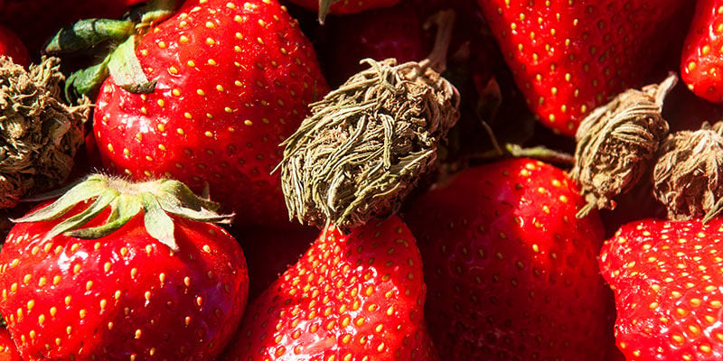 Strawberry Cough: Sapori ed effetti