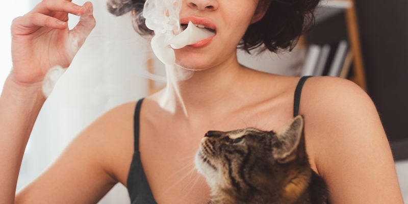 Gli animali possono sballarsi con il fumo passivo di cannabis?