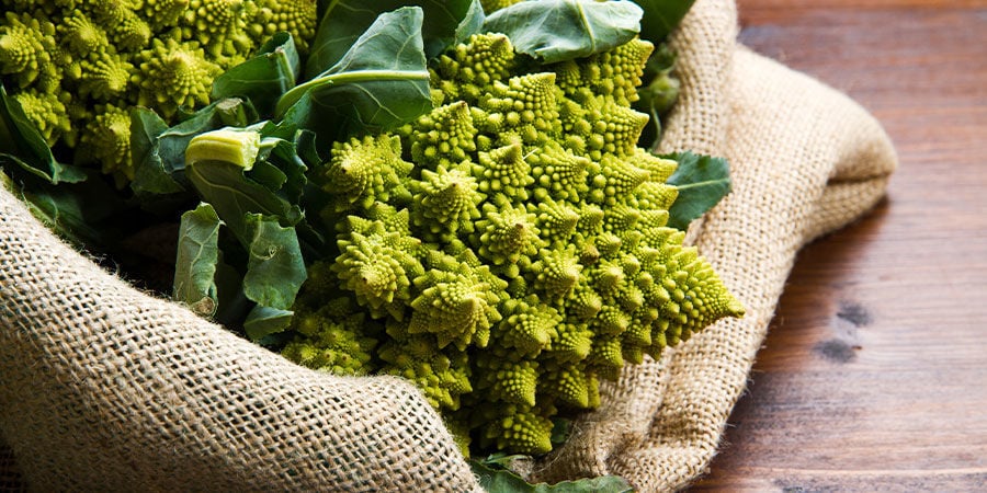 Broccolo Romanesco