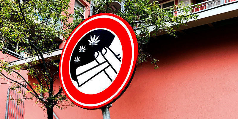 Le politiche sulla cannabis nei Paesi Bassi