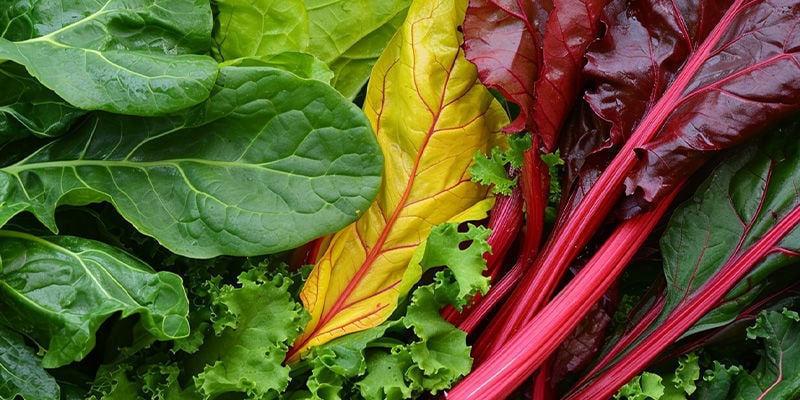 I 5 migliori ortaggi a foglia verde da coltivare in casa