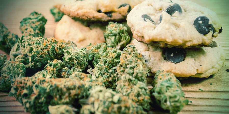 La Cannabis fa Aumentare l'Appetito