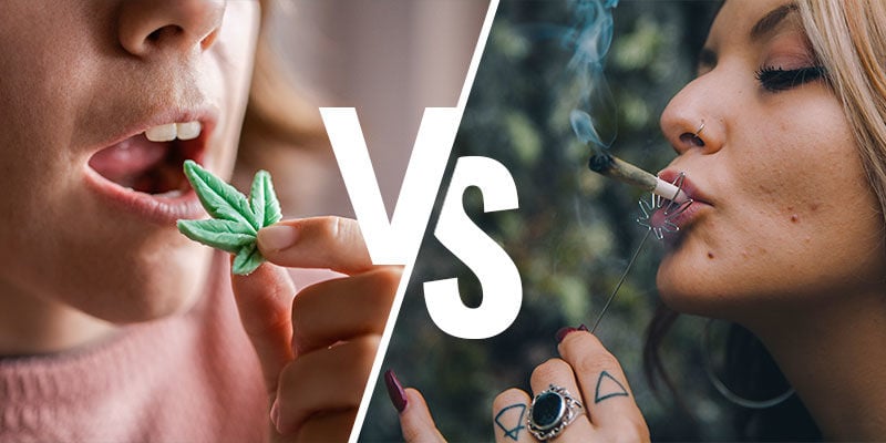 Mangiare Cannabis O Fumarla: Ecco Come Il THC Penetra Nell'Organismo