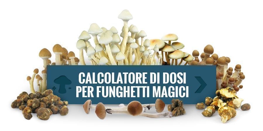Calcolatore dei Funghi Magic