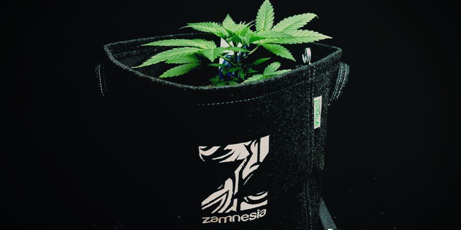 Vasi In Tessuto O Smart Pot Cannabis