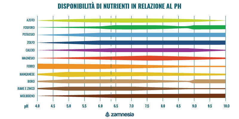 Disponibilità di nutrienti in relazione al pH