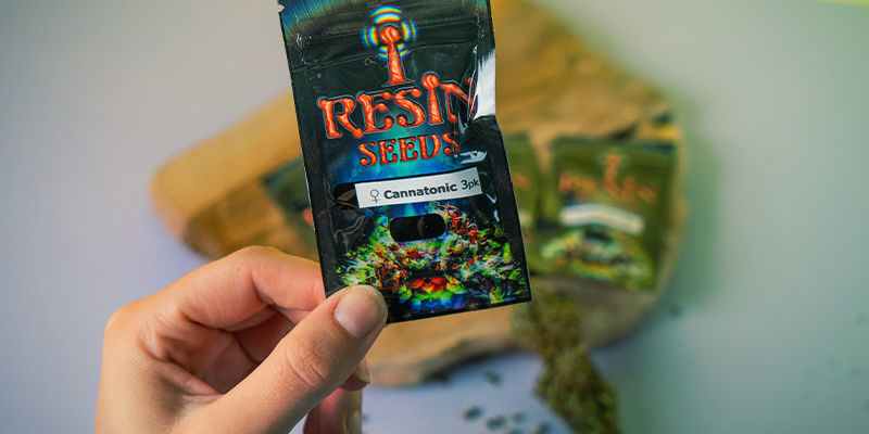 Resin Seeds: Fondatori Movimento CBD