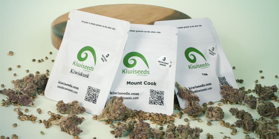 Quali Sono Le 3 Migliori Varietà Di Cannabis Della Kiwi Seeds?