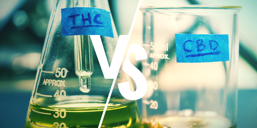 QUAL È LA DIFFERENZA TRA THC E CBD?