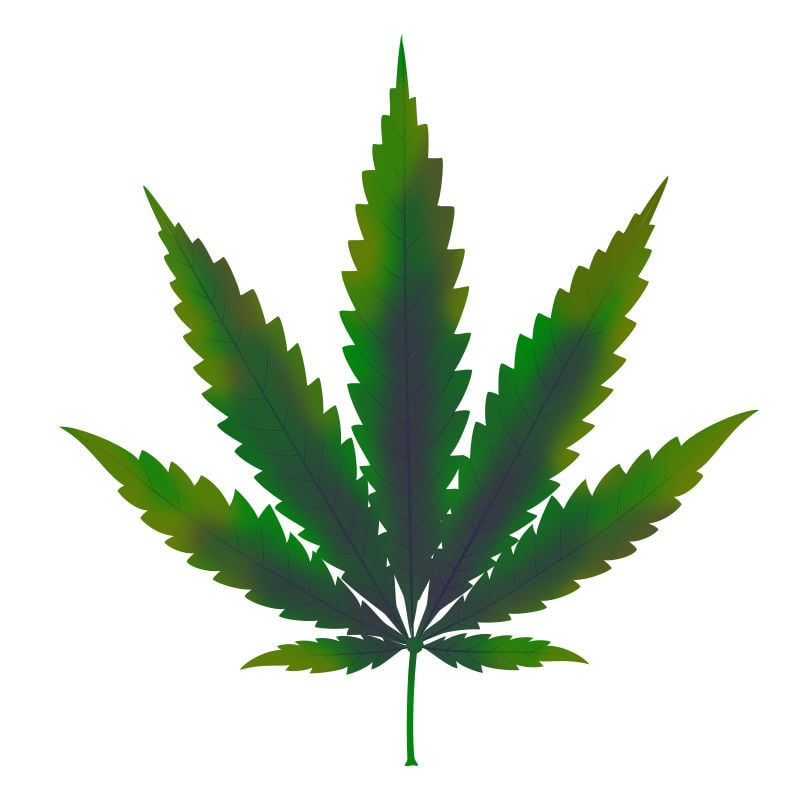 Carenza Di rame Nelle Piante Di Cannabis: Progressione della carenza di rame