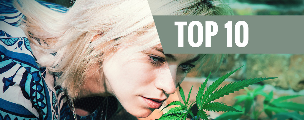 Le 10 Varietà Di Cannabis