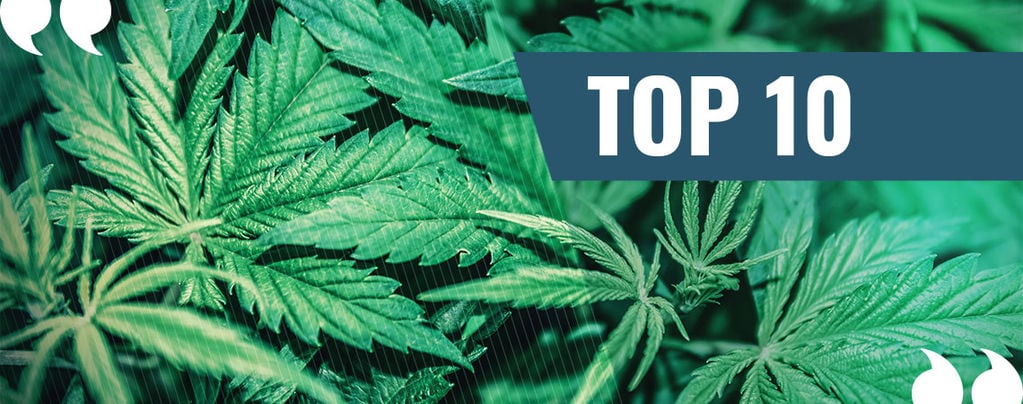 La Nostra Top 10 Delle Migliori Citazioni Di Tutti I Tempi Sulla Marijuana