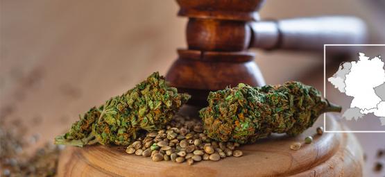 Germania E Austria: La Situazione Della Cannabis Legalizzata
