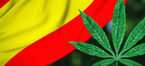 Regolamentazione Ganja: A Bilbao Norme Per I Cannabis Clubs