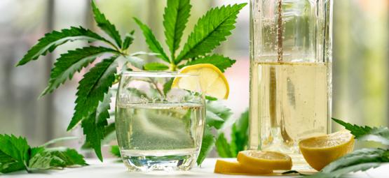 Come Fare un Ginjah: Un Gin Tonic Infuso con Cannabis