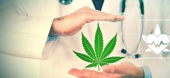 Qual È Il Modo Migliore Per Consumare Cannabis Terapeutica?