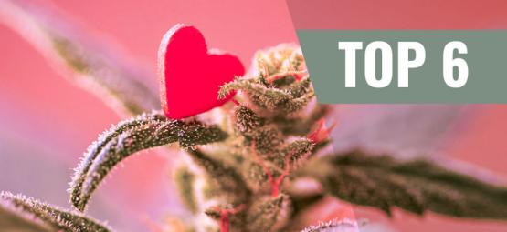 Le 6 Varietà Di Cannabis Per Il Giorno Di San Valentino