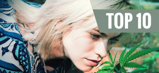 Le 10 Varietà Di Cannabis Meno Profumate Per Minimizzare Gli Odori